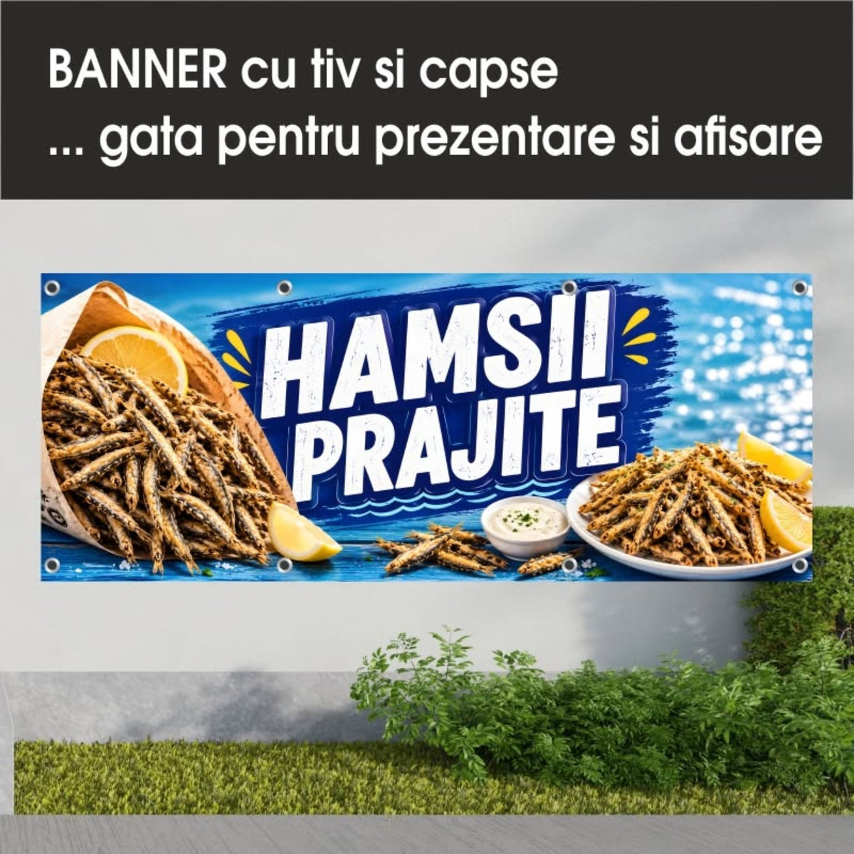 Banner publicitar Hamsii prăjite cu tiv și capse – Model albastru