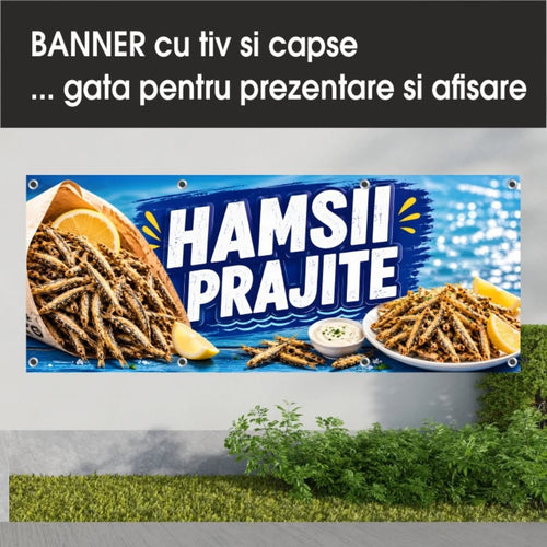 Banner publicitar Hamsii prăjite cu tiv și capse – Model albastru