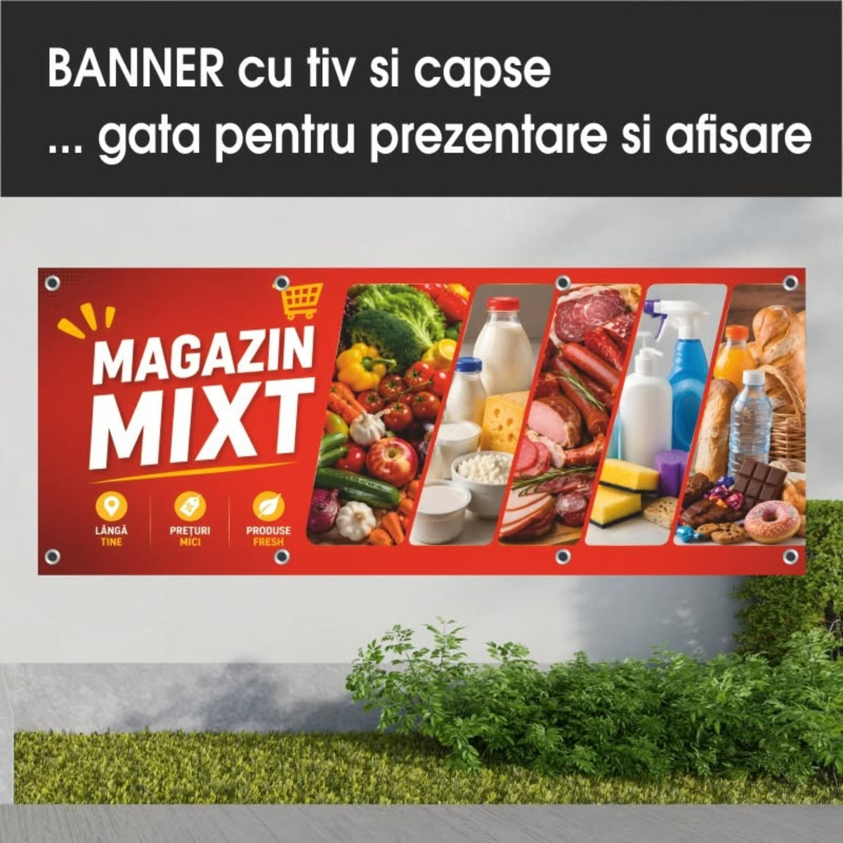 Banner publicitar Magazin mixt cu tiv și capse – Model roșu cu categorii de produse